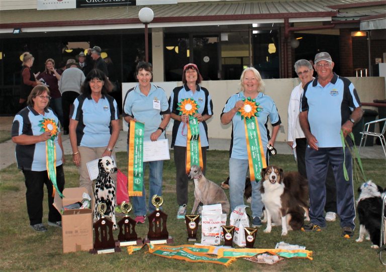 Dog sales obedience club